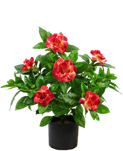 Konstgjord Gardenia Fuchsia