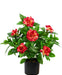 Konstgjord Gardenia Fuchsia