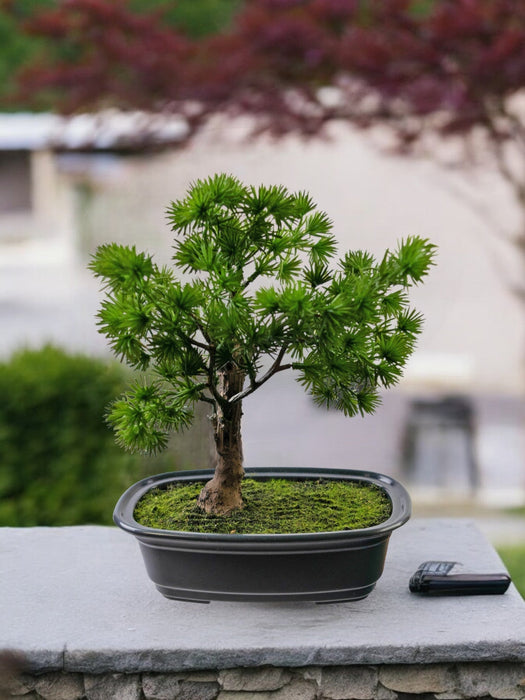 Enbär - Konstgjord Bonsai