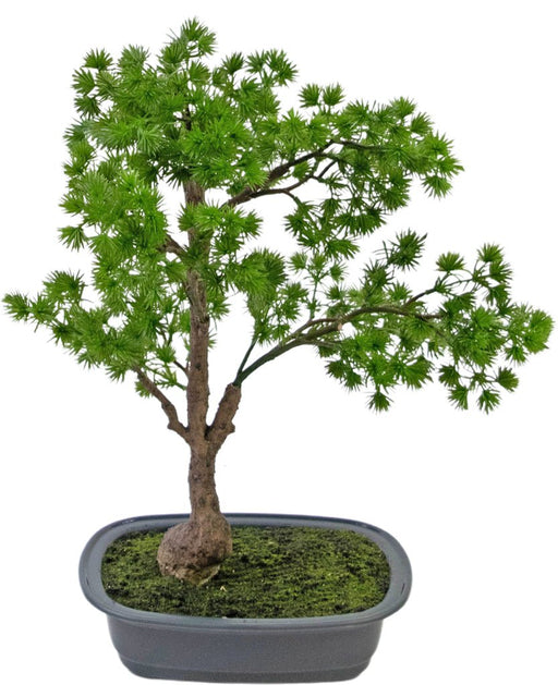 Enbär - Konstgjord Bonsai