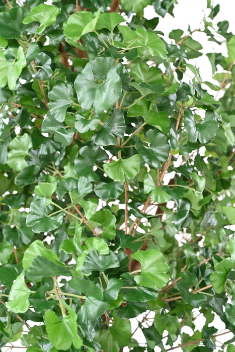 Konstgjord Ginkgo Biloba H.290 Cm Inomhusväxt