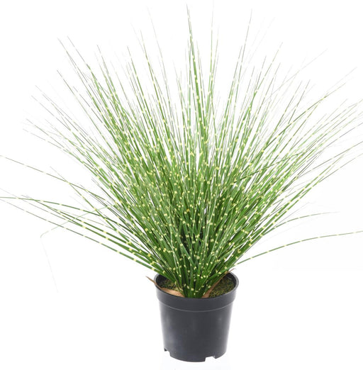 Konstgräs Miscanthus Zebrinus 45Cm Grön Gul