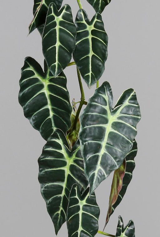 Konstgjord Alocasia-Girland 120 Cm Grön