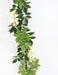 Inomhus Konstgjord Wisteria Garland 180 Cm Cream