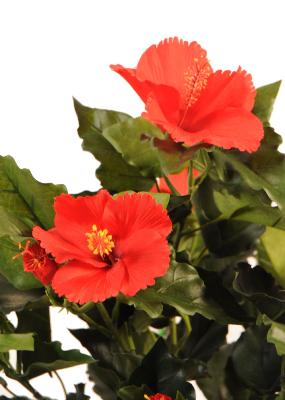 Konstgjord Hibiscus Röd 150 Cm Blommande Växt