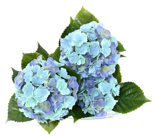 Artificiell Hortensia 3 Huvuden UV-Beständig H.45Cm Blå