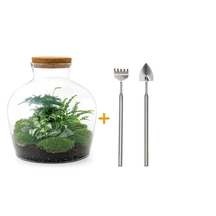 DIY Terrarium Kit - Joy