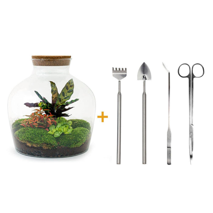 DIY Terrarium Kit - Joy