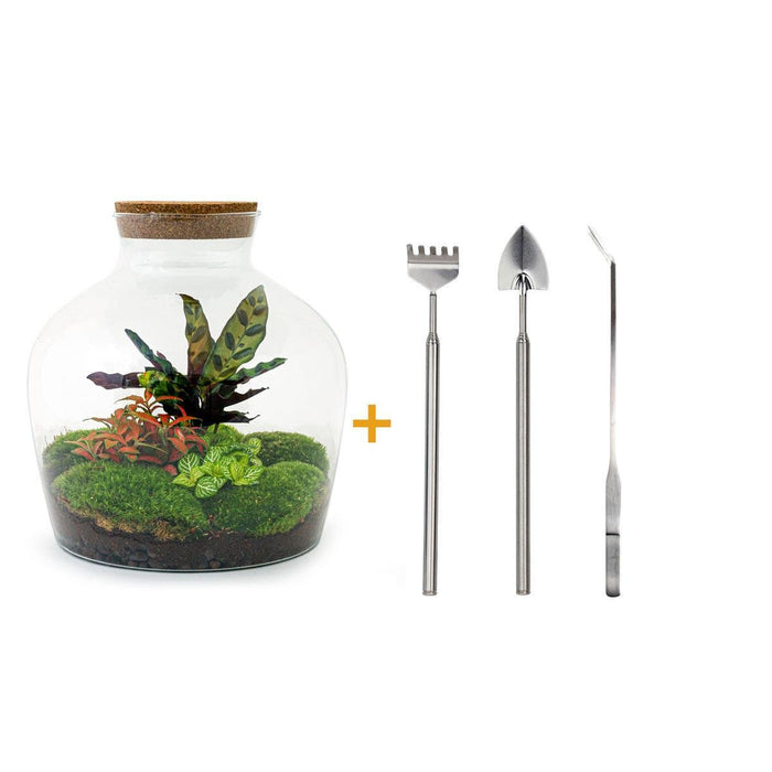 DIY Terrarium Kit - Joy