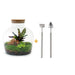 DIY Terrarium Kit - Joy