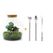 DIY Terrarium Kit - Joy