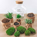 DIY Terrarium Kit - Joy