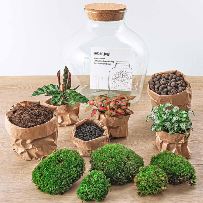 DIY Terrarium Kit - Joy