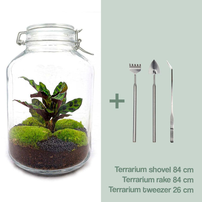 DIY Terrarium Kit - Oslo