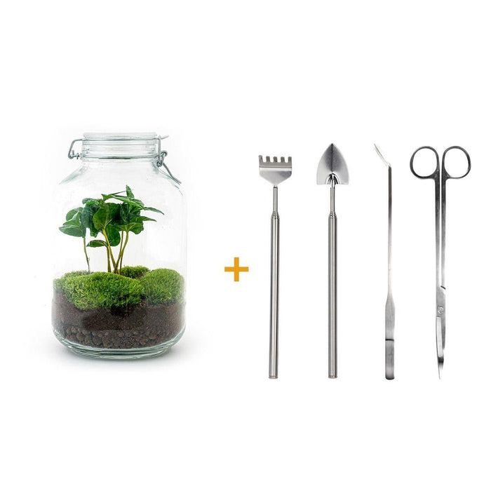 DIY Terrarium Kit - Oslo