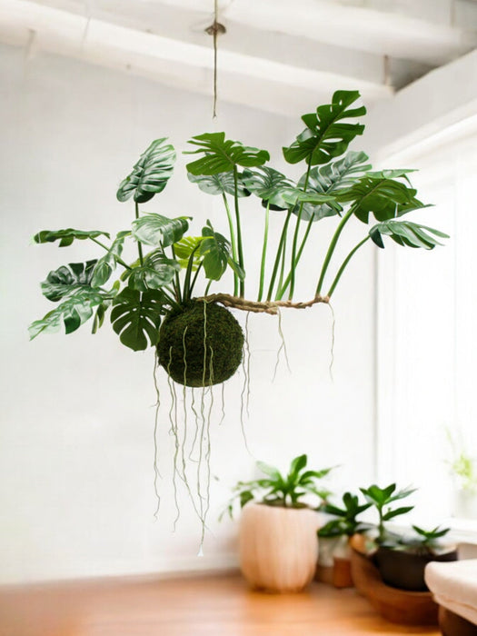 Monstera Kokedama - Konstgjord Hängande Växt