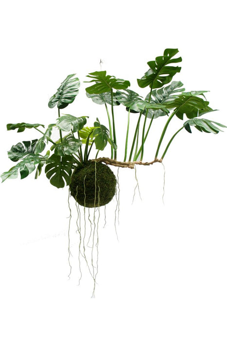 Monstera Kokedama - Konstgjord Hängande Växt