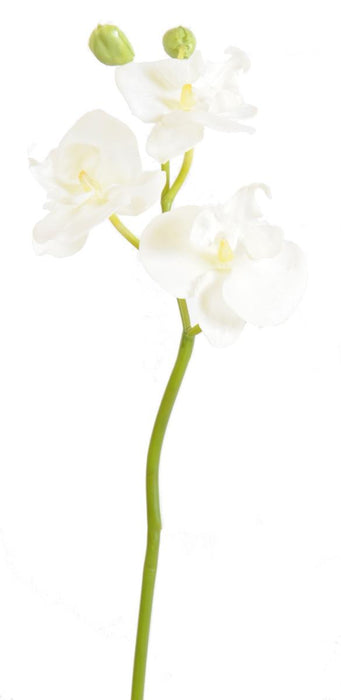 Artificiell Phalaenopsis Orchid 3 Blommor Vita 45 Cm