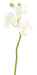 Artificiell Phalaenopsis Orchid 3 Blommor Vita 45 Cm