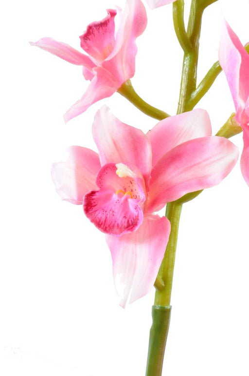 Artificiell Cymbidium Orchid 100Cm Rosa