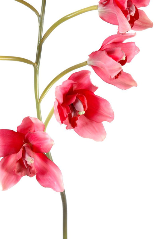 Artificiell Cymbidium Orchid 80Cm Magenta