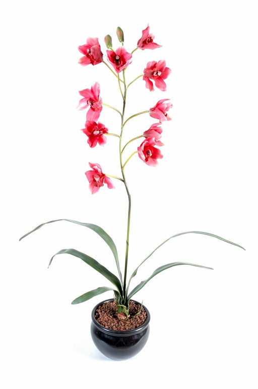 Artificiell Cymbidium Orchid 80Cm Magenta