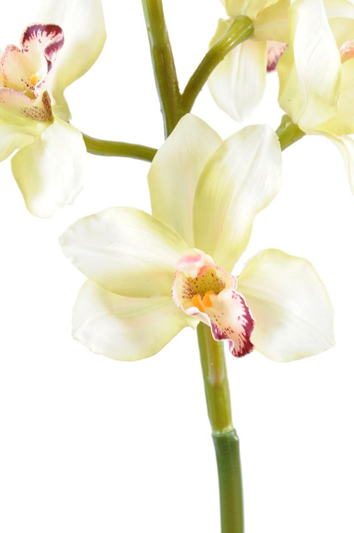 Artificiell Cymbidium Orchid Cream 100Cm