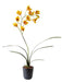 Artificiell Cymbidium Orchid Gul 80Cm