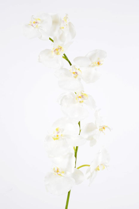 Artificiell Phalaenopsis Orchid 10 Blommor 160 Cm Vita