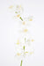 Artificiell Phalaenopsis Orchid 10 Blommor 160 Cm Vita