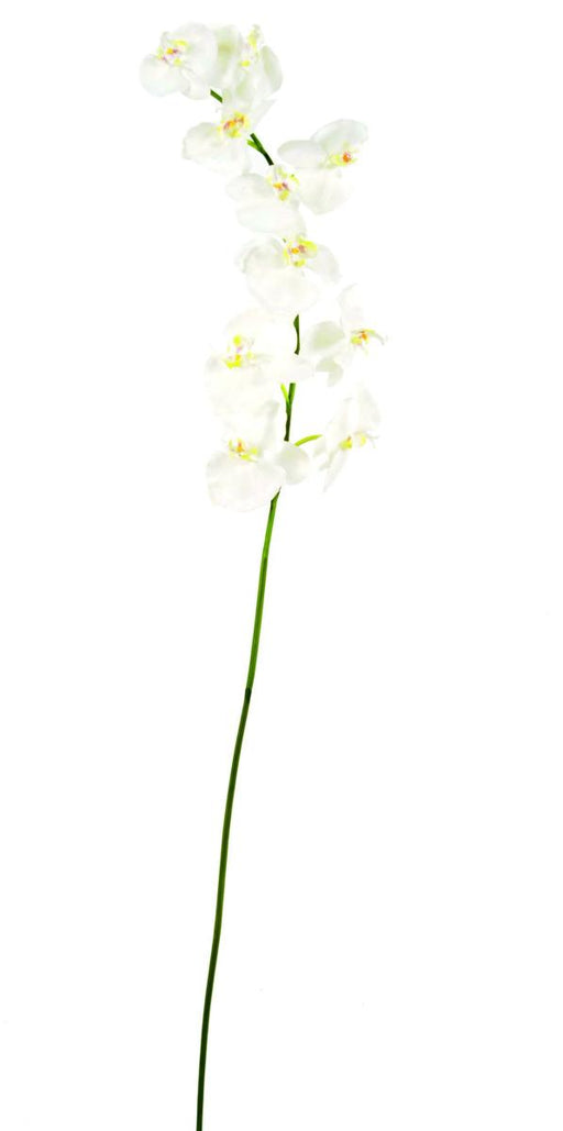 Artificiell Phalaenopsis Orchid 10 Blommor 160 Cm Vita