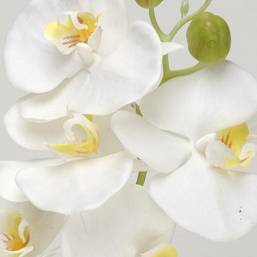 Artificiell Phalaenopsis Orchid 100Cm Vit Blomma