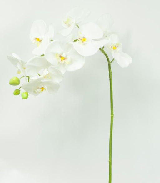 Artificiell Phalaenopsis Orchid 100Cm Vit Blomma