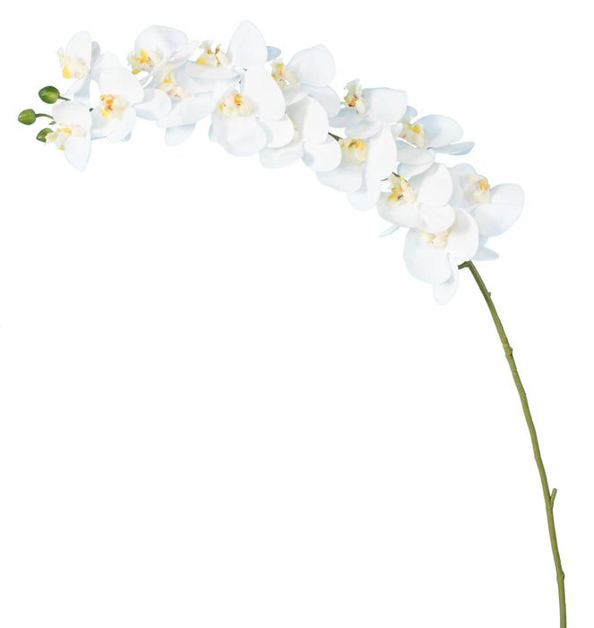 Artificiell Phalaenopsis Orkidé 15 Blommor 125 Cm