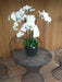 Artificiell Phalaenopsis Orchid 85Cm Cream