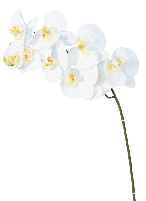 Artificiell Phalaenopsis Orchid 9 Blommor 98 Cm Vita