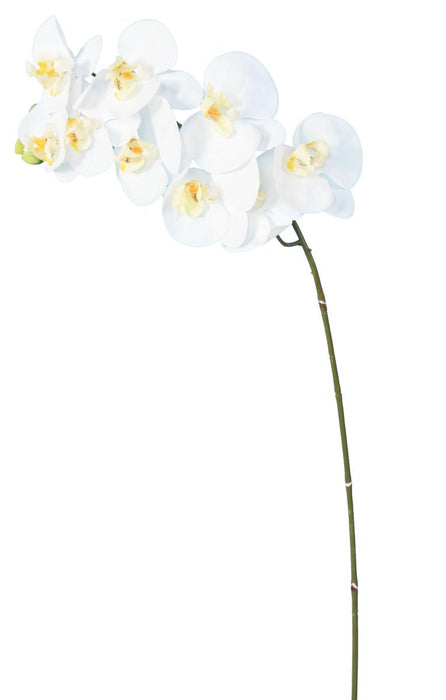 Artificiell Phalaenopsis Orchid 9 Blommor 98 Cm Vita