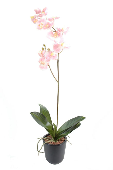 Artificiell Phalaenopsis Orchid 90 Cm Ljusrosa