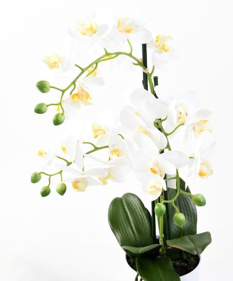 Konstgjord Phalaenopsis Orkidé Med Vit Kruka 60Cm