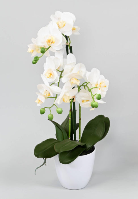 Konstgjord Phalaenopsis Orkidé Med Vit Kruka 60Cm