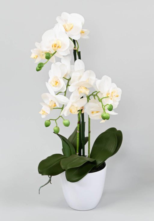 Konstgjord Phalaenopsis Orkidé Med Vit Kruka 60Cm