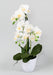 Konstgjord Phalaenopsis Orkidé Med Vit Kruka 60Cm