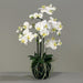 Artificiell Phalaenopsis Orchid H77Cm Cream