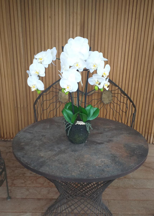 Artificiell Phalaenopsis Orchid H.55 Cm Cream