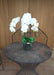 Artificiell Phalaenopsis Orchid H.55 Cm Cream