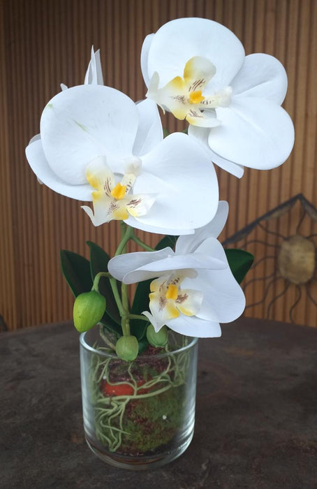 Artificiell Phalaenopsis Orchid Glaskruka 42Cm Cream