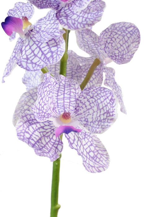 Konstgjord Vanda Orchid 60Cm Lila Vit