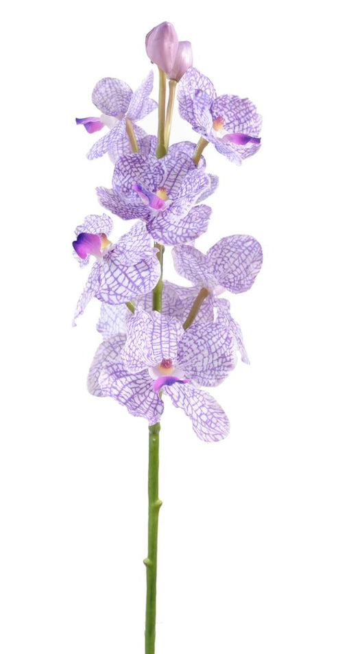 Konstgjord Vanda Orchid 60Cm Lila Vit