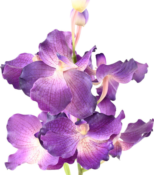 Konstgjord Vanda Orchid Lila 70 Cm Dekoration