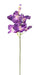 Konstgjord Vanda Orchid Lila 70 Cm Dekoration